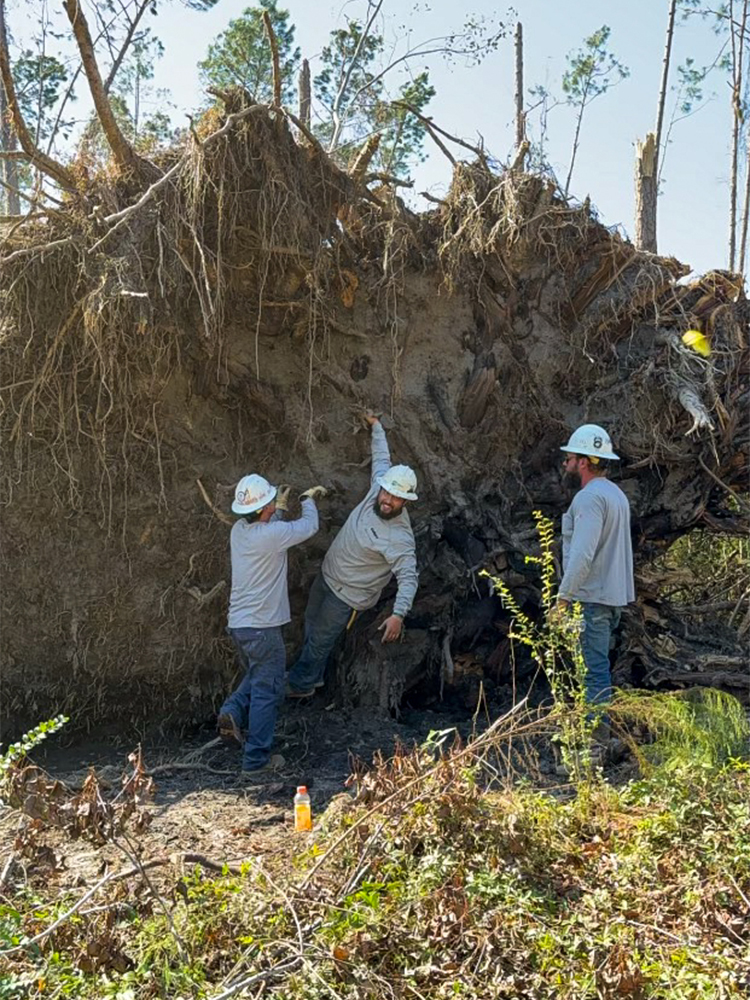 CoServ crews acting as mutual aid in Sandersville, Georgia for Washington EMC helping to restore power after Hurricane Helene went through the area.