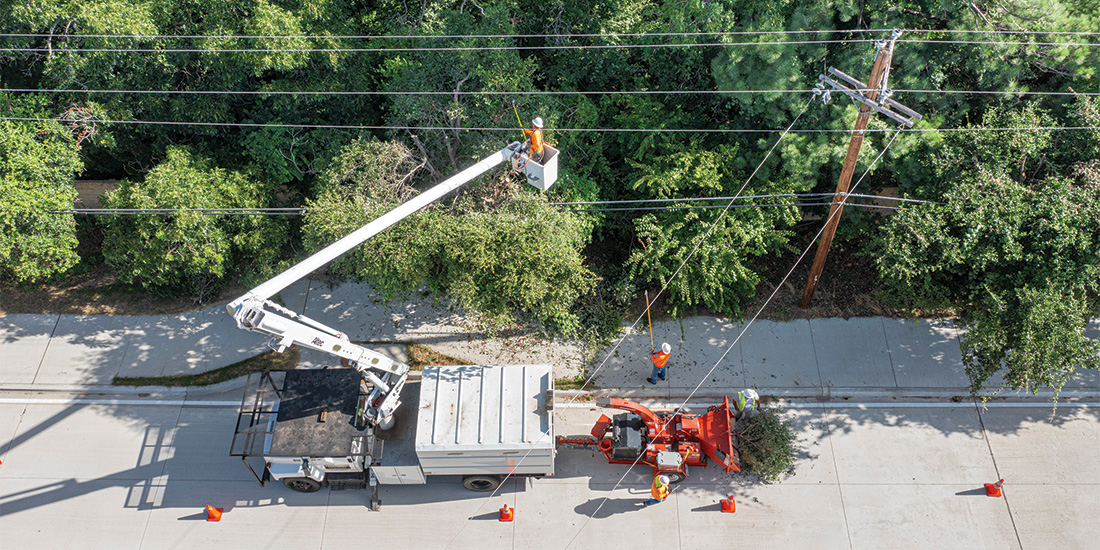 CoServ Contractor Crews trim trees near Double Oak and Flower Mound.