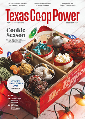 Read Texas Co-op Power